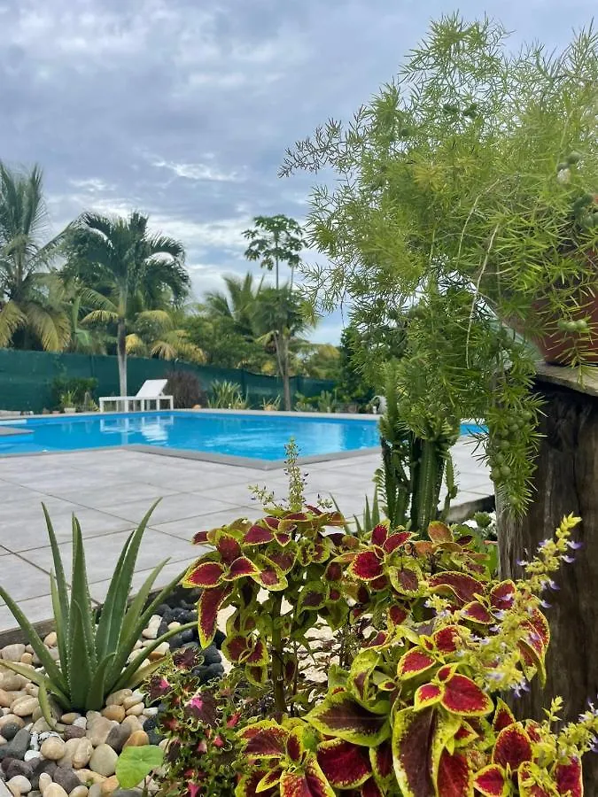 Charmante maison avec piscine Lamentin